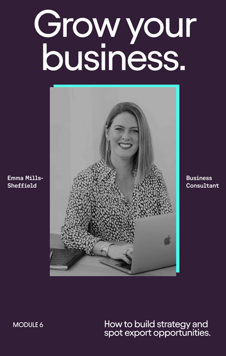 Week 6 - Grow your business.